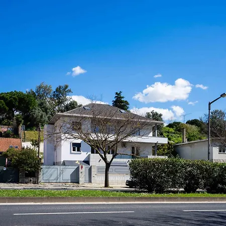 Avenuehillhotel Otel